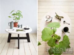 天然木質餐桌釋放純美之景簡約餐廳裝修圖片