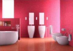 典雅紅色激情家居設計現代衛生間裝修圖片