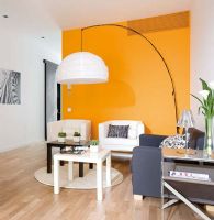 50平米橙色與黑白的和諧搭配簡約客廳裝修圖片