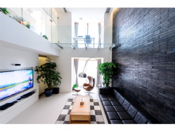 理智與情感 現代風格loft空間設計現代客廳裝修圖片