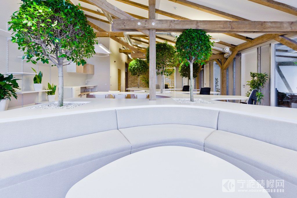 培養綠色植物 凈化辦公室內空氣
